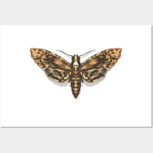 Deaths Head Hawkmoth Posters and Art